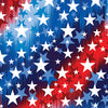 Benartex America's Highway 14718 86 All Stars