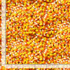 Timeless Treasures Packed Candy Corn