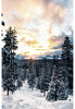 Hoffman Fabrics Call of the Wild- Dawn 44"