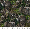 Northcott Fabrics Little Rascals DP25511-36