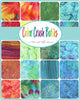Moda Fabrics Color Crush Charm Pack