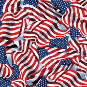 Benartex America's Highway 14721 86 Go USA