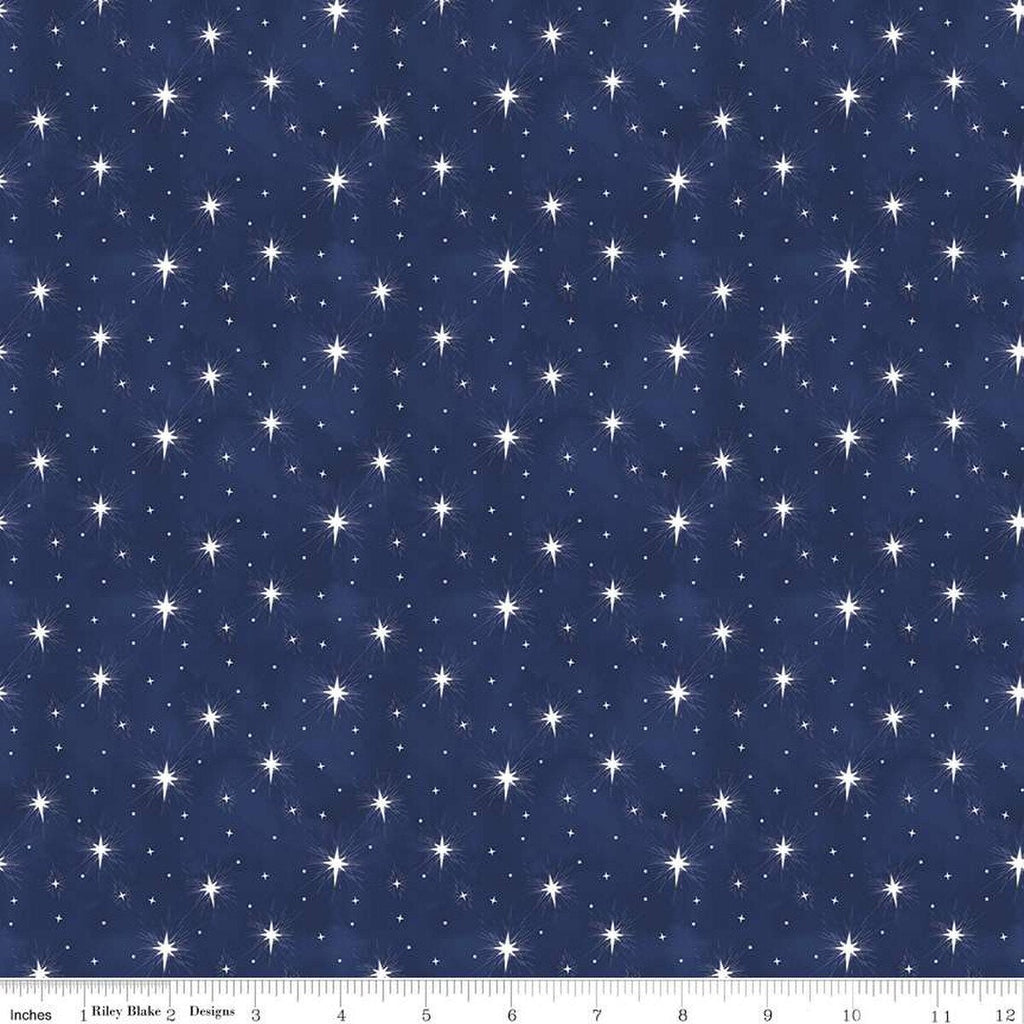 Riley Blake Christmas Wishes C16314