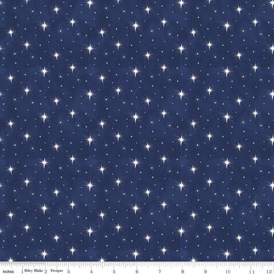 Riley Blake Christmas Wishes C16314