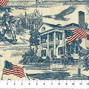 Northcott America 250 Toile