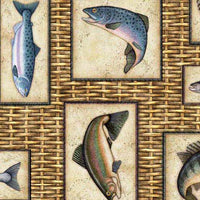 QT Fabrics Fish Tails Fish Patch 30068AE