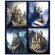 QT Wizards and Warriors 30237N Panel