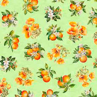 QT  Fabric California Dreaming 313149 H