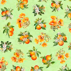 QT  Fabric California Dreaming 313149 H