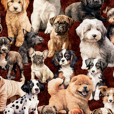 QT Pack of Puppies