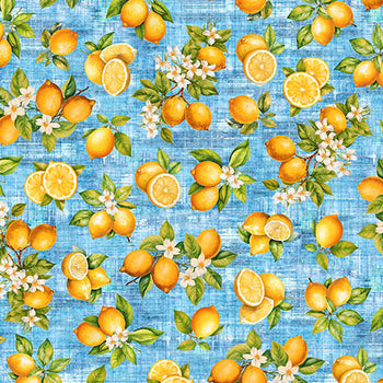 QT  Fabric Citrus Bliss 31714B