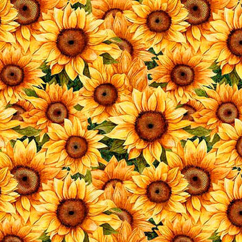 QT Sunflower Serenade 31804G