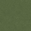 Riley Blake Legends of The National Park Topographic Chive