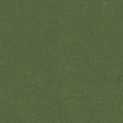 Riley Blake Legends of The National Park Topographic Chive