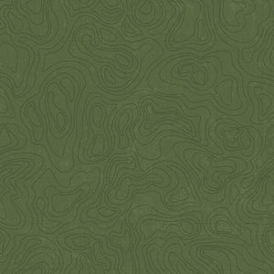 Riley Blake Legends of The National Park Topographic Chive