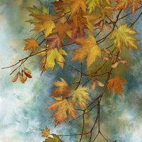Northcott Fabrics Autumn Splendor Panel DP26680-64