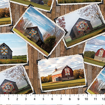 Northcott Fabrics DP27315-36 Barn Quilt