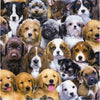 Elizabeth Adorable Pets Puppies
