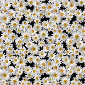 Timeless Treasures Blooming Packed Daisies CD2926