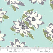 Moda Fabrics 5520027CV At home Canvas
