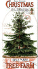 Riley Blake Classic Christmas Botanical Panel