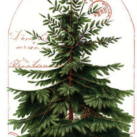 Riley Blake Classic Christmas Tree Farm Quilt Kit