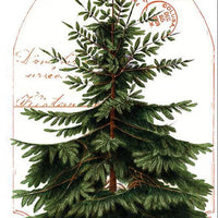 Riley Blake Classic Christmas Botanical Panel