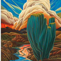 Riley Blake Western Reflections Kaleidoscope