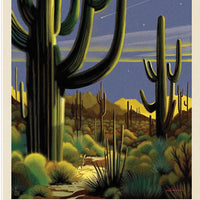 Riley Blake The Saguaro National Park Quilt Kit
