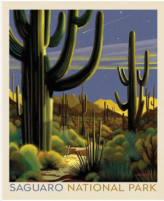 Riley Blake The Saguaro National Park Panel