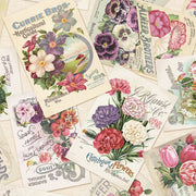 Marcus Fabrics Cotton Lace Seed Catalogues