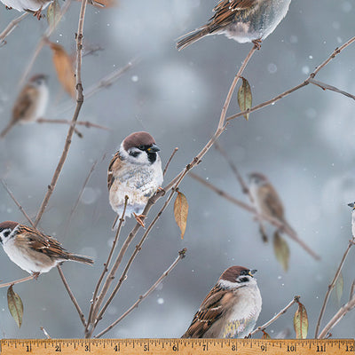 Hoffman Fabrics Call of the Wild- Sparrow