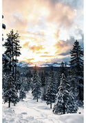 Hoffman Fabrics Call of the Wild- Dawn 44"