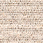 Hoffman Fabric Antique Beige x5728-A25