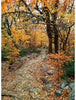 Hoffman Fabrics Y5789 Autumn Panel