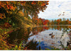 Hoffman Fabrics Y5790 Lake