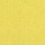 Michael Miller Fabrics CX1065 Pindot