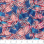 Northcott Fabrics Patriotic Flags DP25538-48