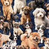 QT Pack of Puppies