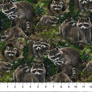 Northcott Fabrics Little Rascals DP25511-36