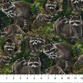 Northcott Fabrics Little Rascals DP25511-36