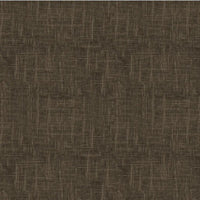 Riley Blake The Saguaro National Park Quilt Kit