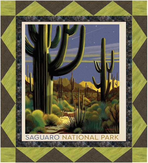 Riley Blake The Saguaro National Park Quilt Kit