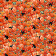 Clothworks Toil & Trouble Y4159-36 Pumpkins