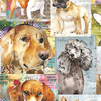 Clothworks Best Friends Y4281-55 Collage