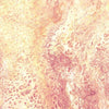 Fusion Splash Coral by QT Fabrics 27607C
