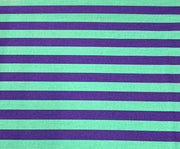 FreeSpirit Tent Stripe by Tula Pink