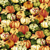 Studio E Autumn Flourish- Pumpkins by Art Loft