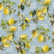 Hoffman Fabrics Mediterranean Escape U5103-16 Spectrum Print