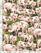 Timeless Treasures Tossed Pigs by Dona Gelsinger